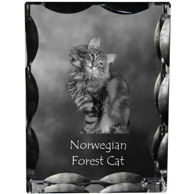 Norweski leśny - kryształ ze zdjęciem kota, szklana statuetka ze zdjęciem, wyjątkowa ramka ze zdjęciem marki Art-Dog Norweski leśny - kryształ ze zdjęciem kota, szklana statuetka ze zdjęciem, wyjątkowa ramka ze zdjęciem marki Art-Dog