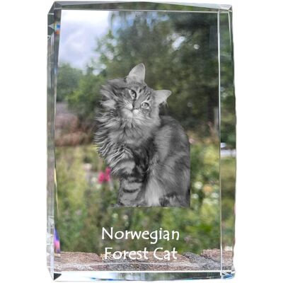 Norweski leśny - kryształ ze zdjęciem kota, zdjęcie w szkle, nowoczesna ekspozycja zdjęcia marki Art-Dog Norweski leśny - kryształ ze zdjęciem kota, zdjęcie w szkle, nowoczesna ekspozycja zdjęcia marki Art-Dog