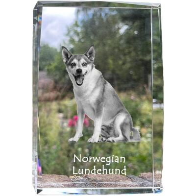 Norweski pies na maskonury, Norwegian Lundehund - kryształ ze zdjęciem psa, zdjęcie w szkle, nowoczesna ekspozycja zdjęcia marki Art-Dog Norweski pies na maskonury, Norwegian Lundehund - kryształ ze zdjęciem psa, zdjęcie w szkle, nowoczesna ekspozycja zdjęcia marki Art-Dog