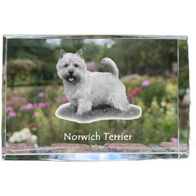Norwich Terrier - kryształ ze zdjęciem psa, zdjęcie w szkle, nowoczesna ekspozycja zdjęcia marki Art-Dog Norwich Terrier - kryształ ze zdjęciem psa, zdjęcie w szkle, nowoczesna ekspozycja zdjęcia marki Art-Dog