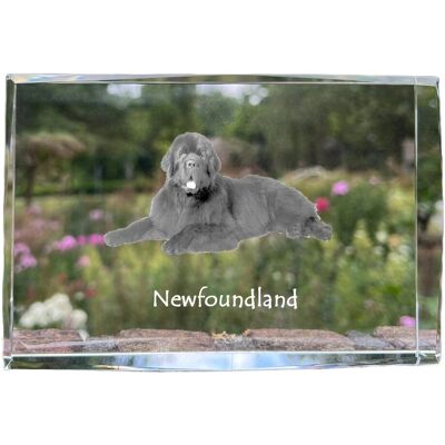 Nowofundland, Nowofoundland, Wodołaz - kryształ ze zdjęciem psa, zdjęcie w szkle, nowoczesna ekspozycja zdjęcia marki Art-Dog Nowofundland, Nowofoundland, Wodołaz - kryształ ze zdjęciem psa, zdjęcie w szkle, nowoczesna ekspozycja zdjęcia marki Art-Dog