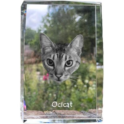Ocicat - kryształ ze zdjęciem kota, zdjęcie w szkle, nowoczesna ekspozycja zdjęcia marki Art-Dog Ocicat - kryształ ze zdjęciem kota, zdjęcie w szkle, nowoczesna ekspozycja zdjęcia marki Art-Dog