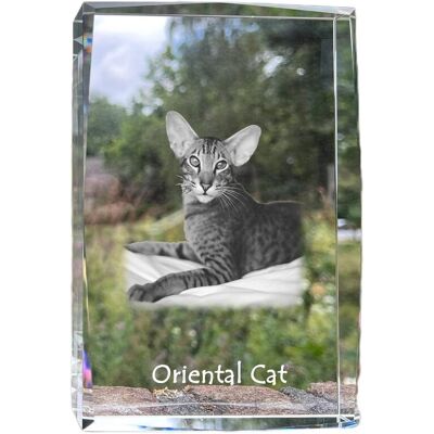 Oriental - kryształ ze zdjęciem kota, zdjęcie w szkle, nowoczesna ekspozycja zdjęcia marki Art-Dog Oriental - kryształ ze zdjęciem kota, zdjęcie w szkle, nowoczesna ekspozycja zdjęcia marki Art-Dog