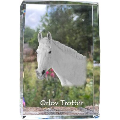 Orlov Trotter - kryształ ze zdjęciem konia, zdjęcie w szkle, nowoczesna ekspozycja zdjęcia marki Art-Dog Orlov Trotter - kryształ ze zdjęciem konia, zdjęcie w szkle, nowoczesna ekspozycja zdjęcia marki Art-Dog