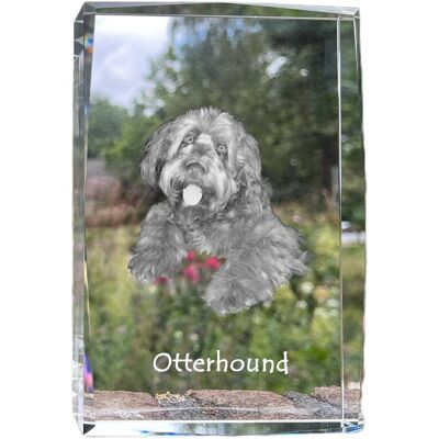 Otterhound, Pies na wydry - kryształ ze zdjęciem psa, zdjęcie w szkle, nowoczesna ekspozycja zdjęcia marki Art-Dog Otterhound, Pies na wydry - kryształ ze zdjęciem psa, zdjęcie w szkle, nowoczesna ekspozycja zdjęcia marki Art-Dog