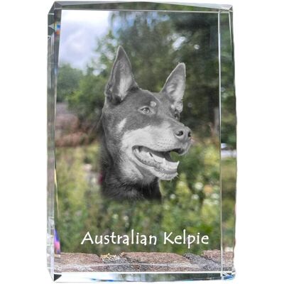 Owczarek australijski kelpie - kryształ ze zdjęciem psa, zdjęcie w szkle, nowoczesna ekspozycja zdjęcia marki Art-Dog Owczarek australijski kelpie - kryształ ze zdjęciem psa, zdjęcie w szkle, nowoczesna ekspozycja zdjęcia marki Art-Dog