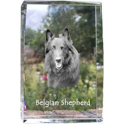 Owczarek belgijski, Belgijski pies pasterski - kryształ ze zdjęciem psa, zdjęcie w szkle, nowoczesna ekspozycja zdjęcia marki Art-Dog Owczarek belgijski, Belgijski pies pasterski - kryształ ze zdjęciem psa, zdjęcie w szkle, nowoczesna ekspozycja zdjęcia marki Art-Dog