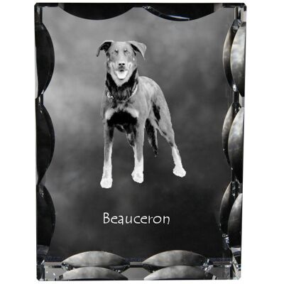 Owczarek francuski Beauceron - kryształ ze zdjęciem psa, szklana statuetka ze zdjęciem, wyjątkowa ramka ze zdjęciem marki Art-Dog Owczarek francuski Beauceron - kryształ ze zdjęciem psa, szklana statuetka ze zdjęciem, wyjątkowa ramka ze zdjęciem marki Art-Dog