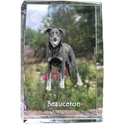 Owczarek francuski Beauceron - kryształ ze zdjęciem psa, zdjęcie w szkle, nowoczesna ekspozycja zdjęcia marki Art-Dog Owczarek francuski Beauceron - kryształ ze zdjęciem psa, zdjęcie w szkle, nowoczesna ekspozycja zdjęcia marki Art-Dog