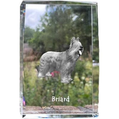 Owczarek francuski Briard, Berger de Brie - kryształ ze zdjęciem psa, zdjęcie w szkle, nowoczesna ekspozycja zdjęcia marki Art-Dog Owczarek francuski Briard, Berger de Brie - kryształ ze zdjęciem psa, zdjęcie w szkle, nowoczesna ekspozycja zdjęcia marki Art-Dog
