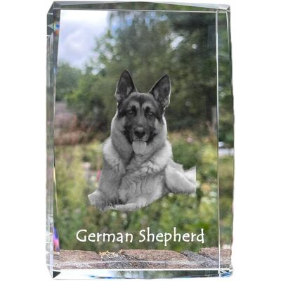 Owczarek niemiecki, Alsatian - kryształ ze zdjęciem psa, zdjęcie w szkle, nowoczesna ekspozycja zdjęcia marki Art-Dog Owczarek niemiecki, Alsatian - kryształ ze zdjęciem psa, zdjęcie w szkle, nowoczesna ekspozycja zdjęcia marki Art-Dog