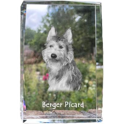 Owczarek pikardyjski, Berger Picard - kryształ ze zdjęciem psa, zdjęcie w szkle, nowoczesna ekspozycja zdjęcia marki Art-Dog Owczarek pikardyjski, Berger Picard - kryształ ze zdjęciem psa, zdjęcie w szkle, nowoczesna ekspozycja zdjęcia marki Art-Dog