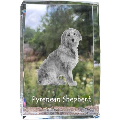 Owczarek pirenejski - kryształ ze zdjęciem psa, zdjęcie w szkle, nowoczesna ekspozycja zdjęcia marki Art-Dog Owczarek pirenejski - kryształ ze zdjęciem psa, zdjęcie w szkle, nowoczesna ekspozycja zdjęcia marki Art-Dog