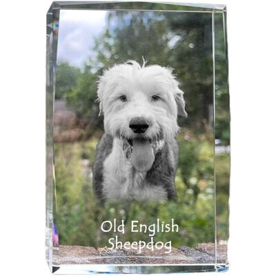 Owczarek staroangielski - kryształ ze zdjęciem psa, zdjęcie w szkle, nowoczesna ekspozycja zdjęcia marki Art-Dog Owczarek staroangielski - kryształ ze zdjęciem psa, zdjęcie w szkle, nowoczesna ekspozycja zdjęcia marki Art-Dog