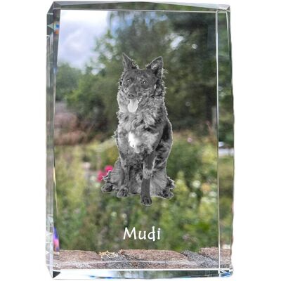 Owczarek węgierski Mudi - kryształ ze zdjęciem psa, zdjęcie w szkle, nowoczesna ekspozycja zdjęcia marki Art-Dog Owczarek węgierski Mudi - kryształ ze zdjęciem psa, zdjęcie w szkle, nowoczesna ekspozycja zdjęcia marki Art-Dog