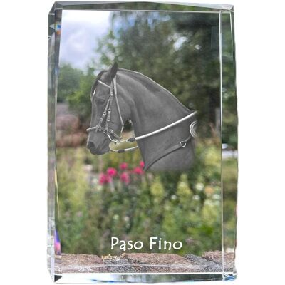 Paso Fino - kryształ ze zdjęciem konia, zdjęcie w szkle, nowoczesna ekspozycja zdjęcia marki Art-Dog Paso Fino - kryształ ze zdjęciem konia, zdjęcie w szkle, nowoczesna ekspozycja zdjęcia marki Art-Dog
