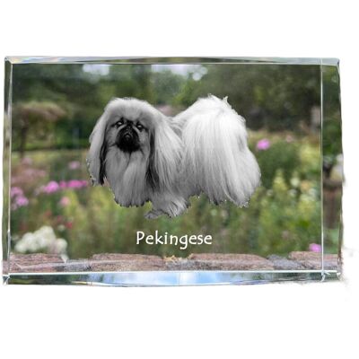 Pekińczyk - kryształ ze zdjęciem psa, zdjęcie w szkle, nowoczesna ekspozycja zdjęcia marki Art-Dog Pekińczyk - kryształ ze zdjęciem psa, zdjęcie w szkle, nowoczesna ekspozycja zdjęcia marki Art-Dog