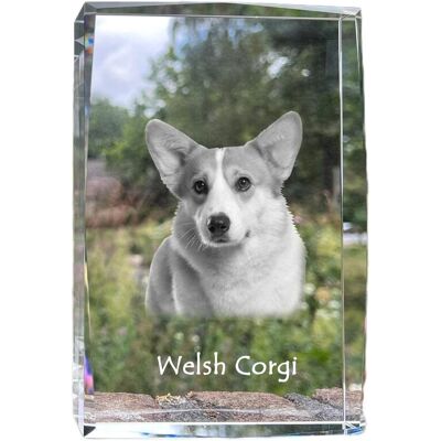 Pembroke Welsh Corgi - kryształ ze zdjęciem psa, zdjęcie w szkle, nowoczesna ekspozycja zdjęcia marki Art-Dog Pembroke Welsh Corgi - kryształ ze zdjęciem psa, zdjęcie w szkle, nowoczesna ekspozycja zdjęcia marki Art-Dog