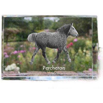 Perszeron - kryształ ze zdjęciem konia, zdjęcie w szkle, nowoczesna ekspozycja zdjęcia marki Art-Dog Perszeron - kryształ ze zdjęciem konia, zdjęcie w szkle, nowoczesna ekspozycja zdjęcia marki Art-Dog