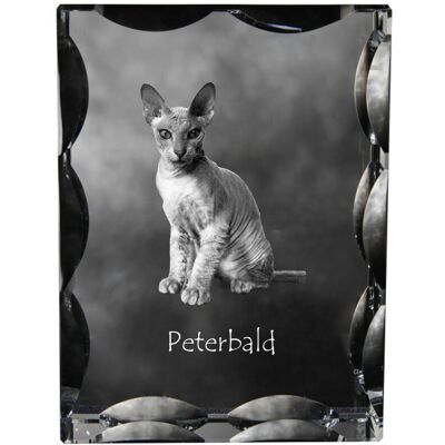Peterbald - kryształ ze zdjęciem kota, szklana statuetka ze zdjęciem, wyjątkowa ramka ze zdjęciem marki Art-Dog Peterbald - kryształ ze zdjęciem kota, szklana statuetka ze zdjęciem, wyjątkowa ramka ze zdjęciem marki Art-Dog