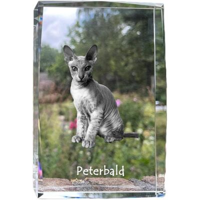 Peterbald - kryształ ze zdjęciem kota, zdjęcie w szkle, nowoczesna ekspozycja zdjęcia marki Art-Dog Peterbald - kryształ ze zdjęciem kota, zdjęcie w szkle, nowoczesna ekspozycja zdjęcia marki Art-Dog