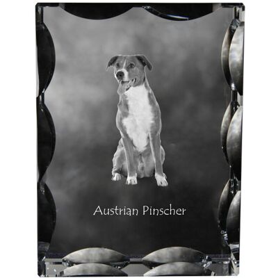 Pinczer austriacki, Austrian pinscher - kryształ ze zdjęciem psa, szklana statuetka ze zdjęciem, wyjątkowa ramka ze zdjęciem marki Art-Dog Pinczer austriacki, Austrian pinscher - kryształ ze zdjęciem psa, szklana statuetka ze zdjęciem, wyjątkowa ramka ze zdjęciem marki Art-Dog