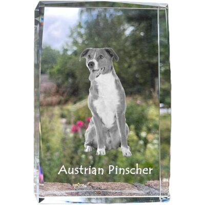 Pinczer austriacki, Austrian pinscher - kryształ ze zdjęciem psa, zdjęcie w szkle, nowoczesna ekspozycja zdjęcia marki Art-Dog Pinczer austriacki, Austrian pinscher - kryształ ze zdjęciem psa, zdjęcie w szkle, nowoczesna ekspozycja zdjęcia marki Art-Dog