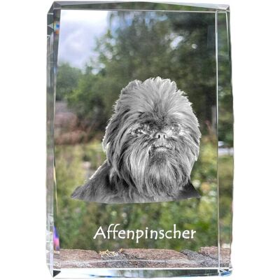 Pinczer małpi, Affenpinczer - kryształ ze zdjęciem psa, zdjęcie w szkle, nowoczesna ekspozycja zdjęcia marki Art-Dog Pinczer małpi, Affenpinczer - kryształ ze zdjęciem psa, zdjęcie w szkle, nowoczesna ekspozycja zdjęcia marki Art-Dog