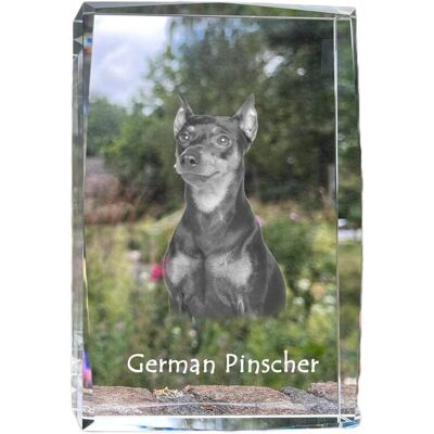 Pinczer średni, Pinczer niemiecki - kryształ ze zdjęciem psa, zdjęcie w szkle, nowoczesna ekspozycja zdjęcia marki Art-Dog Pinczer średni, Pinczer niemiecki - kryształ ze zdjęciem psa, zdjęcie w szkle, nowoczesna ekspozycja zdjęcia marki Art-Dog