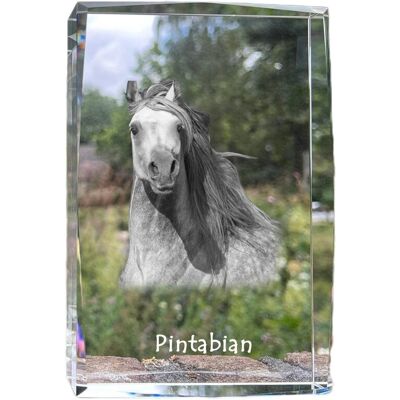 Pintabian - kryształ ze zdjęciem konia, zdjęcie w szkle, nowoczesna ekspozycja zdjęcia marki Art-Dog Pintabian - kryształ ze zdjęciem konia, zdjęcie w szkle, nowoczesna ekspozycja zdjęcia marki Art-Dog