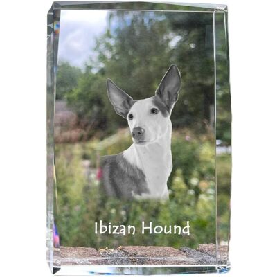 Podenco z Ibizy, Podenco Ibicenco - kryształ ze zdjęciem psa, zdjęcie w szkle, nowoczesna ekspozycja zdjęcia marki Art-Dog Podenco z Ibizy, Podenco Ibicenco - kryształ ze zdjęciem psa, zdjęcie w szkle, nowoczesna ekspozycja zdjęcia marki Art-Dog
