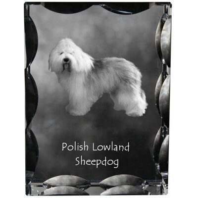 Polski owczarek nizinny, PON - kryształ ze zdjęciem psa, szklana statuetka ze zdjęciem, wyjątkowa ramka ze zdjęciem marki Art-Dog Polski owczarek nizinny, PON - kryształ ze zdjęciem psa, szklana statuetka ze zdjęciem, wyjątkowa ramka ze zdjęciem marki Art-Dog