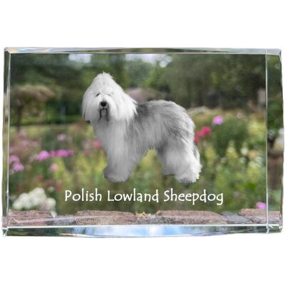 Polski owczarek nizinny, PON - kryształ ze zdjęciem psa, zdjęcie w szkle, nowoczesna ekspozycja zdjęcia marki Art-Dog Polski owczarek nizinny, PON - kryształ ze zdjęciem psa, zdjęcie w szkle, nowoczesna ekspozycja zdjęcia marki Art-Dog