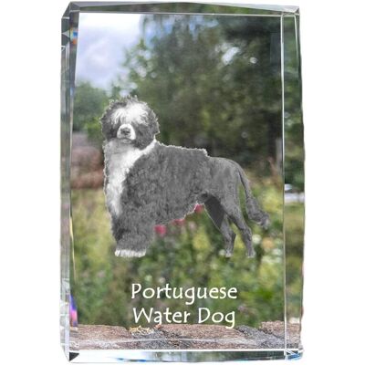 Portugalski pies dowodny - kryształ ze zdjęciem psa, zdjęcie w szkle, nowoczesna ekspozycja zdjęcia marki Art-Dog Portugalski pies dowodny - kryształ ze zdjęciem psa, zdjęcie w szkle, nowoczesna ekspozycja zdjęcia marki Art-Dog