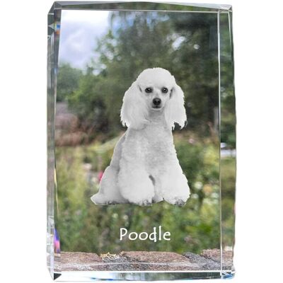 Pudel - kryształ ze zdjęciem psa, zdjęcie w szkle, nowoczesna ekspozycja zdjęcia marki Art-Dog Pudel - kryształ ze zdjęciem psa, zdjęcie w szkle, nowoczesna ekspozycja zdjęcia marki Art-Dog