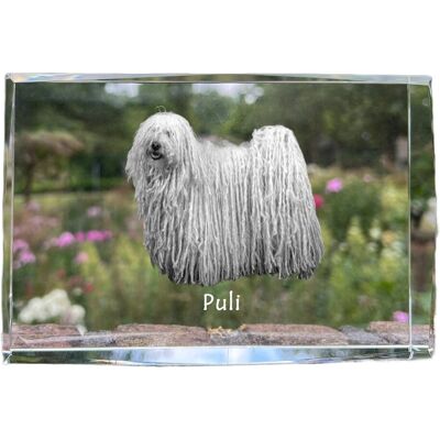 Puli - kryształ ze zdjęciem psa, zdjęcie w szkle, nowoczesna ekspozycja zdjęcia marki Art-Dog Puli - kryształ ze zdjęciem psa, zdjęcie w szkle, nowoczesna ekspozycja zdjęcia marki Art-Dog