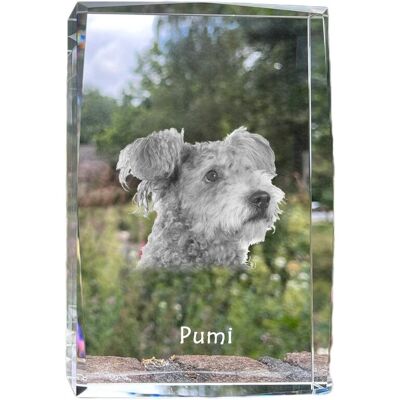 Pumi - kryształ ze zdjęciem psa, zdjęcie w szkle, nowoczesna ekspozycja zdjęcia marki Art-Dog Pumi - kryształ ze zdjęciem psa, zdjęcie w szkle, nowoczesna ekspozycja zdjęcia marki Art-Dog