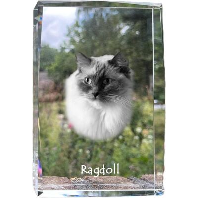 Ragdoll - kryształ ze zdjęciem kota, zdjęcie w szkle, nowoczesna ekspozycja zdjęcia marki Art-Dog Ragdoll - kryształ ze zdjęciem kota, zdjęcie w szkle, nowoczesna ekspozycja zdjęcia marki Art-Dog