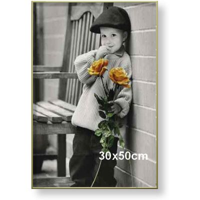 ARTVIC Rama aluminiowa do zdjęcia lub plakatu 30x50cm, złoty półmat ARTVIC Rama aluminiowa do zdjęcia lub plakatu 30x50cm, złoty półmat