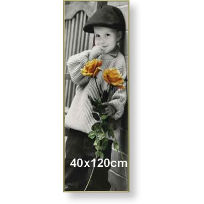 ARTVIC Rama aluminiowa do zdjęcia lub plakatu 40x120cm, złoty półmat ARTVIC Rama aluminiowa do zdjęcia lub plakatu 40x120cm, złoty półmat