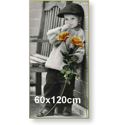 ARTVIC Rama aluminiowa do zdjęcia lub plakatu 60x120cm, złoty półmat ARTVIC Rama aluminiowa do zdjęcia lub plakatu 60x120cm, złoty półmat