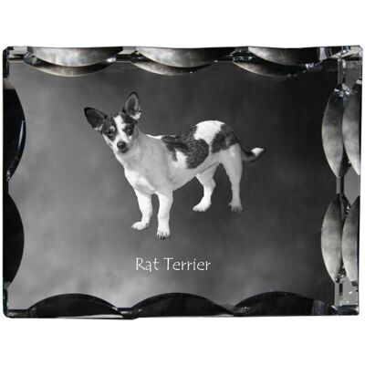 Rat Terrier - kryształ ze zdjęciem psa, szklana statuetka ze zdjęciem, wyjątkowa ramka ze zdjęciem marki Art-Dog Rat Terrier - kryształ ze zdjęciem psa, szklana statuetka ze zdjęciem, wyjątkowa ramka ze zdjęciem marki Art-Dog