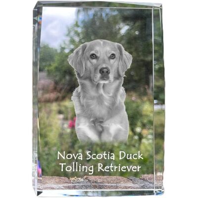 Retriever z Nowej Szkocji, Toller - kryształ ze zdjęciem psa, zdjęcie w szkle, nowoczesna ekspozycja zdjęcia marki Art-Dog Retriever z Nowej Szkocji, Toller - kryształ ze zdjęciem psa, zdjęcie w szkle, nowoczesna ekspozycja zdjęcia marki Art-Dog