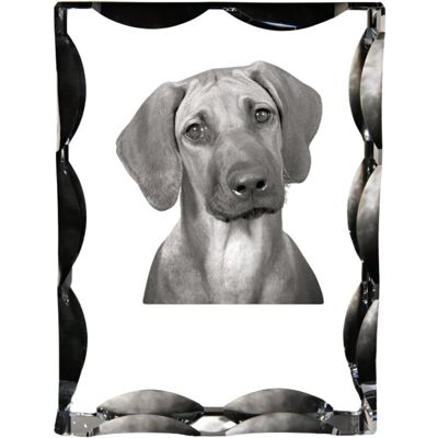 Rhodesian Ridgeback, Afrykański pies na lwy - kryształ ze zdjęciem psa, szklana statuetka ze zdjęciem, wyjątkowa ramka ze zdjęciem marki Art-Dog Rhodesian Ridgeback, Afrykański pies na lwy - kryształ ze zdjęciem psa, szklana statuetka ze zdjęciem, wyjątkowa ramka ze zdjęciem marki Art-Dog
