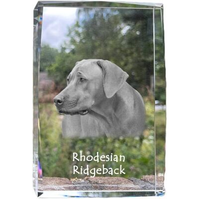 Rhodesian Ridgeback, Afrykański pies na lwy - kryształ ze zdjęciem psa, zdjęcie w szkle, nowoczesna ekspozycja zdjęcia marki Art-Dog Rhodesian Ridgeback, Afrykański pies na lwy - kryształ ze zdjęciem psa, zdjęcie w szkle, nowoczesna ekspozycja zdjęcia marki Art-Dog