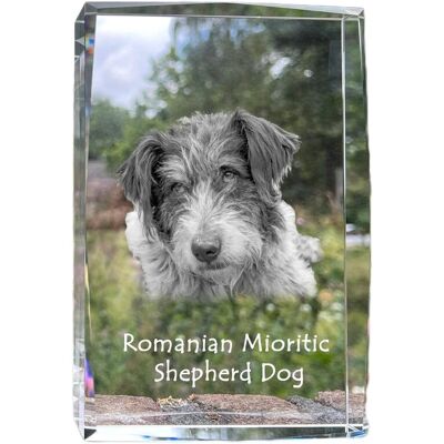 Romanian Mioritic Shepherd Dog - kryształ ze zdjęciem psa, zdjęcie w szkle, nowoczesna ekspozycja zdjęcia marki Art-Dog Romanian Mioritic Shepherd Dog - kryształ ze zdjęciem psa, zdjęcie w szkle, nowoczesna ekspozycja zdjęcia marki Art-Dog