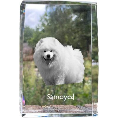Samojed, Samoyed, Samojedskaja - kryształ ze zdjęciem psa, zdjęcie w szkle, nowoczesna ekspozycja zdjęcia marki Art-Dog Samojed, Samoyed, Samojedskaja - kryształ ze zdjęciem psa, zdjęcie w szkle, nowoczesna ekspozycja zdjęcia marki Art-Dog