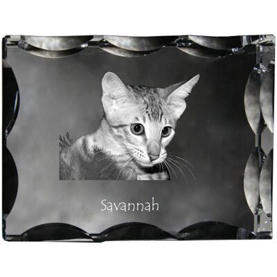 Savannah - kryształ ze zdjęciem kota, szklana statuetka ze zdjęciem, wyjątkowa ramka ze zdjęciem marki Art-Dog Savannah - kryształ ze zdjęciem kota, szklana statuetka ze zdjęciem, wyjątkowa ramka ze zdjęciem marki Art-Dog