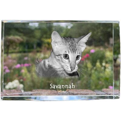 Savannah - kryształ ze zdjęciem kota, zdjęcie w szkle, nowoczesna ekspozycja zdjęcia marki Art-Dog Savannah - kryształ ze zdjęciem kota, zdjęcie w szkle, nowoczesna ekspozycja zdjęcia marki Art-Dog