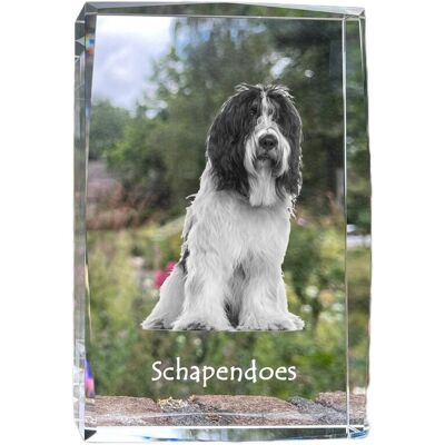 Schapendoes, Owczarek holenderski - kryształ ze zdjęciem psa, zdjęcie w szkle, nowoczesna ekspozycja zdjęcia marki Art-Dog Schapendoes, Owczarek holenderski - kryształ ze zdjęciem psa, zdjęcie w szkle, nowoczesna ekspozycja zdjęcia marki Art-Dog